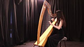 Mariage d'Amour - Paul de Senneville ( Lily Yo HARP COVER )