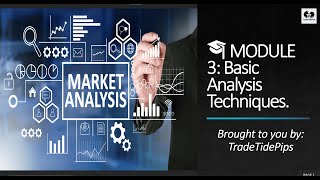 🎓MODULE 3 - Basic Analysis Techniques