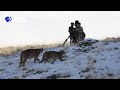 Behind the Scenes of "Pumas: Legends of the Ice Mountains"