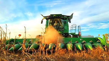 Corn Harvest Is A Complete DISASTER!