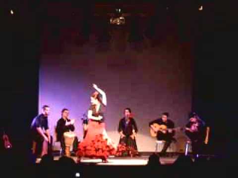 Cuadro Flamenco Andara (Tangos)