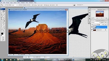 How to Crop images in Photoshop Urdu Hindi Tutorials by Emdresa