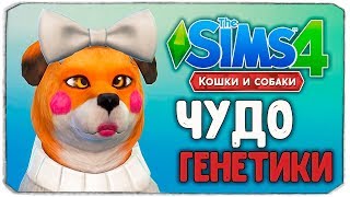 ЧУДО ГЕНЕТИКИ, ЛИСА - The Sims 4 "Кошки и Собаки"