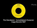 The Wanderers - Consolidated Character