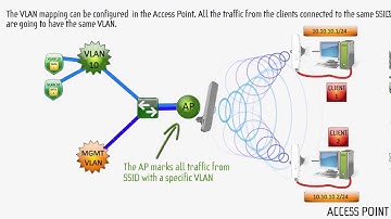 VLAN Tagging VLAN Mapping LigoDLB