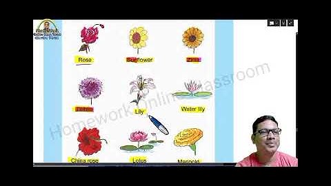 DB Sir Shorts No38 #Shorts #math #MathsTricks ।। DB Sir Homework.