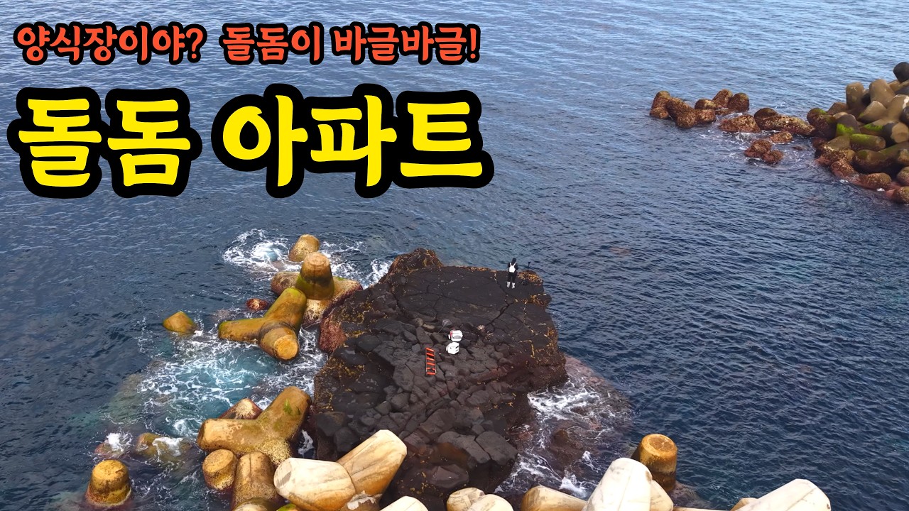 제주식 돌돔찌낚시 배우기