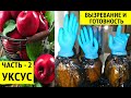 ДОМАШНИЙ 🍏 ЯБЛОЧНЫЙ УКСУС🍏 ГОТОВ 🍏 Часть 2