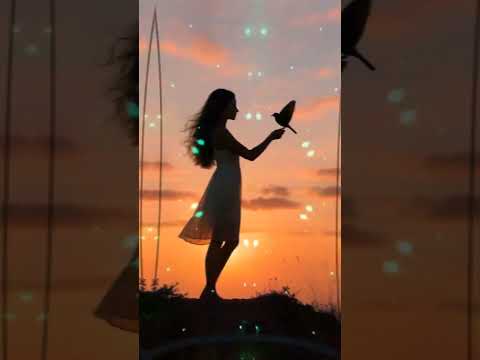 عندما يتحدث الصدق مع المحتوى عندما يندمج الاحساس   هشام الراكشي