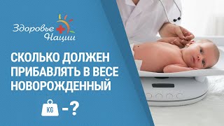 Сколько должен прибавлять в весе новорожденный