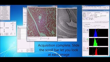 Tiling with Micro-Manager