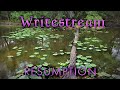 The WriteStream: Resumption