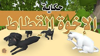 Cat Brothers Story | حكاية : الإخوة القِطاط | Arabic | AttractiveEdu