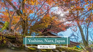 Yoshino: another side of Nara