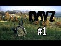 DayZ: Соло выживание