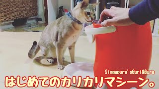 はじめてのカリカリマシーン。