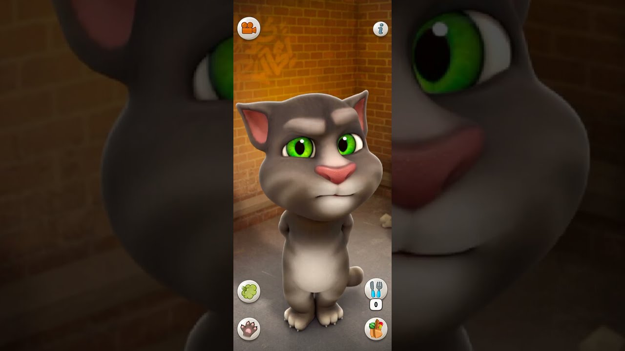 Talking Tom Cat Part 13793 Shorts