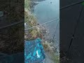 #фильмбрат #брат #бодров #сергейбодров #позитив