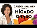 CARDO MARIANO y alimentos para sanar el hígado graso ¿Es posible revertir el hígado graso?