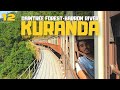 Australie ep12  kuranda et daintree rainforest 