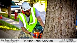 Tree Service Tree Removal Stump Grinding Tree Trimming in Keller TX