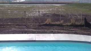 20120830_164554.mp4