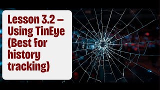 Lesson 3.2 — Using TinEye