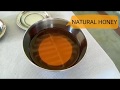 How to check if honey is pure or nothoney quality test