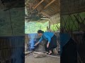 17 year old girl rescues cute puppy at the market, lives alone