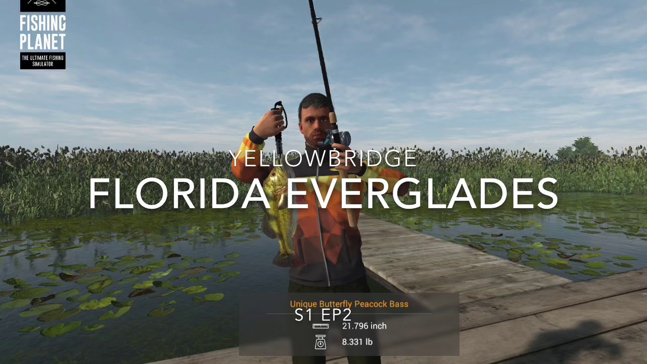 Fishing Everglades giants YouTube
