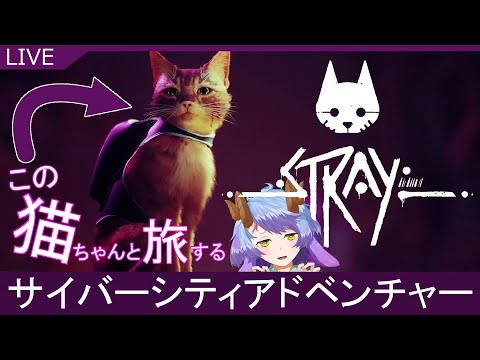 【STRAY】サイバーシティを一緒に旅する猫のゲーム！＃3【一乃紙ゆめみVtuber】