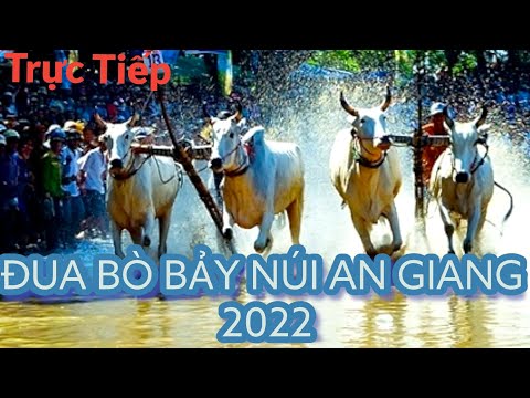#1 HẤP DẪN Đua Bò Bảy Núi 2022 - Lễ Hội Đua Bò An Giang 2022 Tại Chùa Rô An Cư Tịnh Biên Mới Nhất 1 #1 HẤP DẪN Đua Bò Bảy Núi 2022 – Lễ Hội Đua Bò An Giang 2022 Tại Chùa Rô An Cư Tịnh Biên Mới Nhất