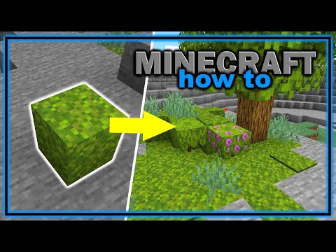 How to Get and Use Moss Blocks! (1.18+) | Easy Minecraft Tutorial - YouTube