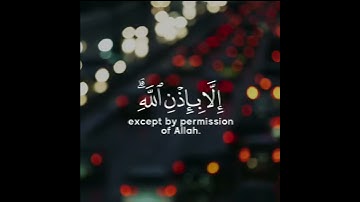 اروع تلاوة القران الكريم ب صوت القارئ رعد الكردى سورة التغابن آجمل حالات واتس اب قرآنيه