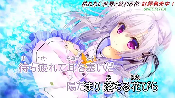 تحميل 永遠に咲く花 Airi 枯れない世界と終わる花 Karenai Sekai To Owaru Hana Mp4 Mp3