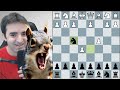 Serious blitz chess spirals into chaos