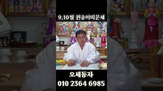 [9,10월 원숭이띠운세] 나이대별 띠별운세 사주 신점 영점 서울점집 강동구점집 점집추천 금전 재물 사업 건…