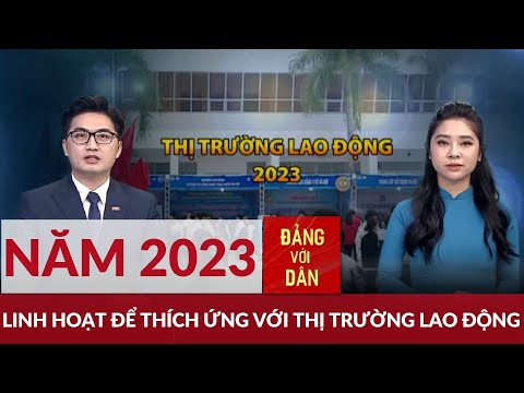 Video: Những người tham gia vào thị trường lao động và chức năng của họ