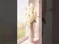 White Florals by Cottage Window 🌸 4K Frame TV Art #shortsfeed #4ktvart #flowers #samsungframetv