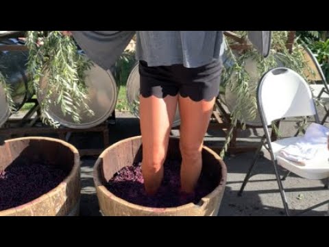 Americus grape stomp highlights agriculture