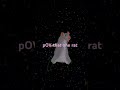 POV that one rat