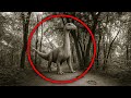 10 Extinct Animals That Came Back to Life — Real Footage You Won’t Believe!