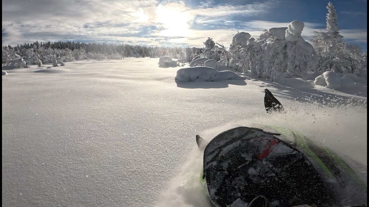 Arctic cat hardcore evo