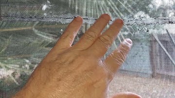 Easy screen repair pop-up truck camper