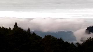 阿里山 阿里山閣飯店外 看雲海 20161112 0827 100
