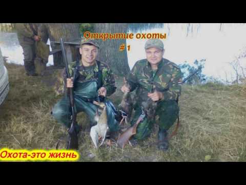 Поздравления на свадьбу 5 Поздравления на свадьбу 51