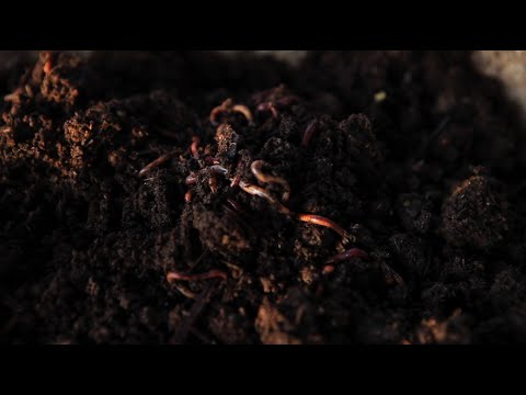 The Living Soil (HD - Captioned)