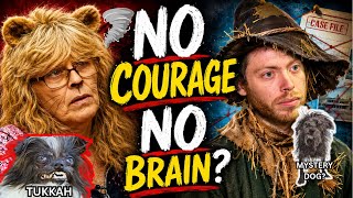 Celebrity Jack & Lilly Sullivan: More TRUTH Comes OUT! Jayne LOSES Control! Wealth