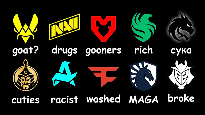 Every CS2 Team Explained in 10 Minutes