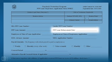How to Complete the PPP Loan Forgiveness Application Form 3508EZ